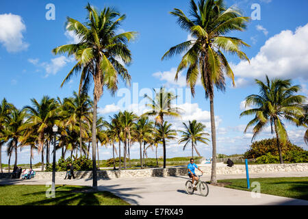 Miami Beach Florida, Lummus Park, Serpentine Trail, palme, percorso in bicicletta, uomo maschile, ciclismo, bicicletta, bicicletta, equitazione, ciclismo, pilota, bel tempo, tropicale, Foto Stock