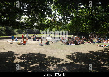 Nuova Foresta e l'Altopiano del flusso di acqua vicino a Brockenhurst Hampshire Foto Stock