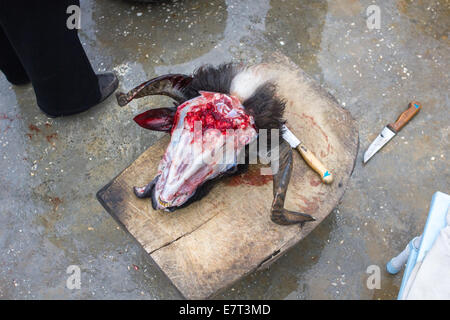 Il cranio di una ram sacrificale che è stata ritualmente uccisi durante la festa islamica del Sacrificio, in Gaziantep, Turchia. Foto Stock