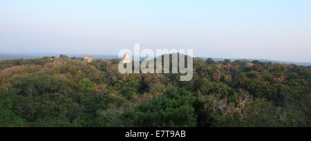 I resti di antichi templi maya salire al di sopra del tettuccio nella giungla nel Parco Nazionale di Tikal, Guatemala. Foto Stock