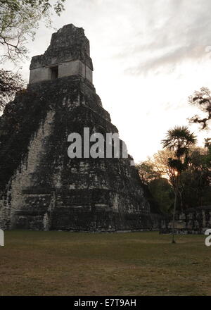 Il rovinato tempio Maya nella città abbandonate di Tikal, un famoso parco nazionale in Guatemala. alba. Foto Stock