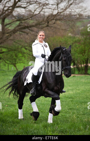 Il frisone o Frisone cavallo, stallone, trotto con femmina cavaliere a cavallo su un prato, classica dressage Foto Stock