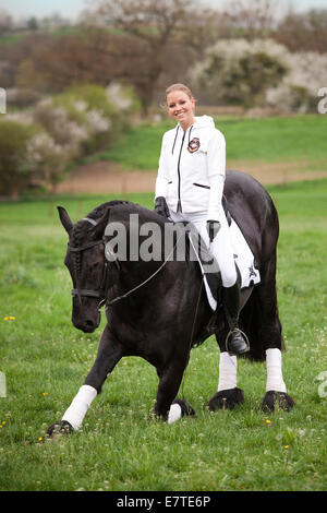 Il frisone o Frisone cavallo, stallone, con una femmina di cavaliere a cavallo su un prato, classica dressage Foto Stock