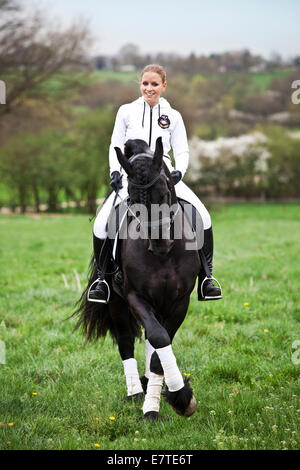 Il frisone o Frisone cavallo stallone con una femmina di cavaliere a cavallo su un prato, classica dressage, metà pass Foto Stock