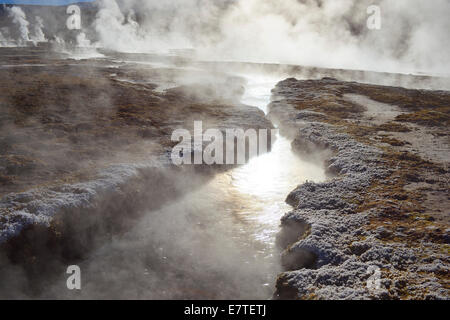 El Tatio, il più alto campo di geyser del mondo, Antofagasta, sul bordo del deserto di Atacama, Cile Foto Stock