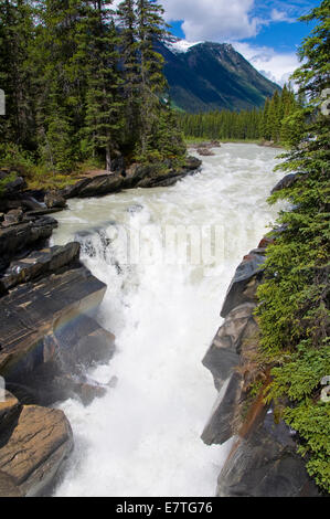 Cade Numa, Kootenay National Park, British Columbia, Canada Foto Stock