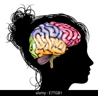 Una testa di donna in silhouette con una vista sezionata in cervello. Concetto per mentale, psicologica, sviluppo del cervello, l'apprendimento e l'educazione Foto Stock
