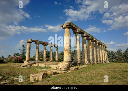 Italia, Basilicata, Metaponto, Tavole Palatine, tempio greco di era Foto Stock