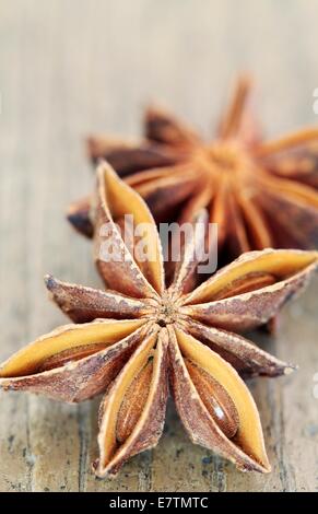 Anice stellato (Illicium verum). Foto Stock