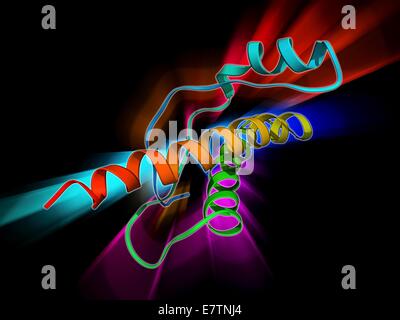 Umano proteina prionica, modello molecolare. I prioni sono proteine anormali che causano un gruppo di mortali malattie neurodegenerative tra cui la ESB e la MCJ negli esseri umani. I prioni non dispongono di un acido nucleico (RNA o DNA) genoma per la replica. Infettive anormale p Foto Stock