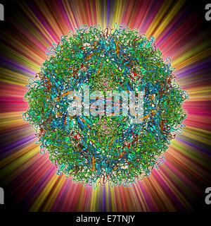 Particella di parvovirus. Il modello molecolare che mostra la struttura del capside (esterno rivestimento proteico) di un parvovirus umano (Famiglia I parvoviridi) particella. I parvoviridi virus includono il più piccolo virus noti e alcuni dei più resistenti dal punto di vista ambientale. Eac Foto Stock