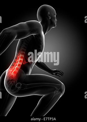 Anatomia umana di un runner inferiore della colonna vertebrale, computer grafica. Foto Stock