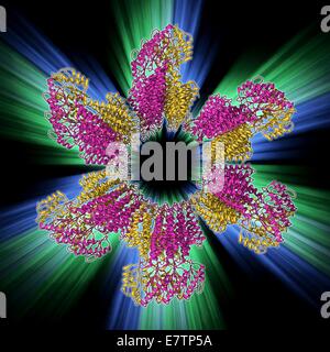 Trasportatore di zinco Yiip, modello molecolare. Questa proteina transmembrana facilita il movimento di ioni zinco. Foto Stock