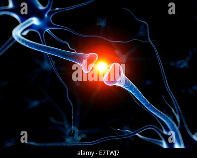 Umani di cellule nervose, computer grafica. Foto Stock