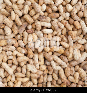 Pila di bollito di arachidi Foto Stock