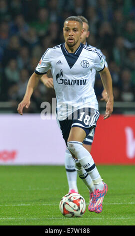 Bremen, Germania. 23 Sett 2014. Schalke di Sidney Sam in azione durante la Bundesliga soccer match tra Werder Brema e FC Schalke 04 a Weserstadium di Brema, Germania, 23 settembre 2014. Credito: dpa picture alliance/Alamy Live News Foto Stock