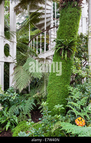 Royal Botanic Gardens, Kew, Londra, Regno Unito. All'interno della Palm House in ferro battuto e vetro, costruita da Decimus Burton negli anni '1840 Foto Stock