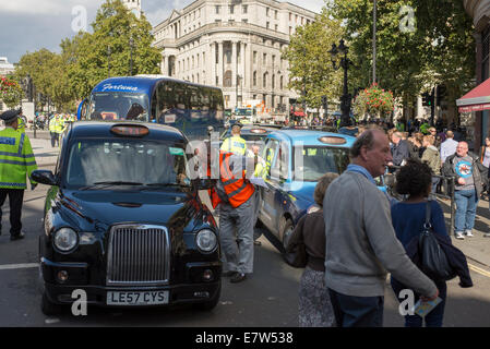 Il centro di Londra, Regno Unito. Il 24 settembre 2014. Black Cab taxi driver protesta TfL's taxi politiche oggi da guidare nel centro di Londra in un ritmo lumache intorno a 2pm. Le aree interessate sono intorno a piazza del Parlamento, Whitehall e Trafalgar Square. Credito: Malcolm Park editoriale/Alamy Live News. Foto Stock