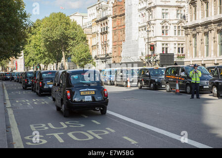 Il centro di Londra, Regno Unito. Il 24 settembre 2014. Black Cab taxi driver protesta TfL's taxi politiche oggi da guidare nel centro di Londra in un ritmo lumache intorno a 2pm. Le aree interessate sono intorno a piazza del Parlamento, Whitehall e Trafalgar Square. Linea di taxi fino a qui su entrambi i lati di Whitehall al di fuori degli uffici governativi. Credito: Malcolm Park editoriale/Alamy Live News. Foto Stock