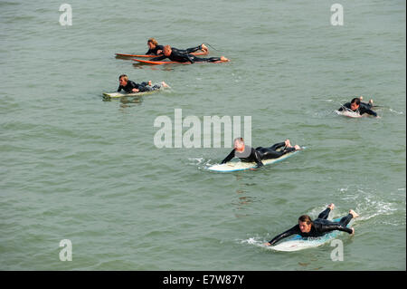 Gruppo di surfisti in neoprene che giace piatto sulle loro tavole da surf in mare, paddling verso le onde Foto Stock