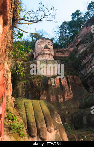 Leshan Buddha gigante, il più grande Buddha di pietra nel mondo Sichuan, Cina Foto Stock