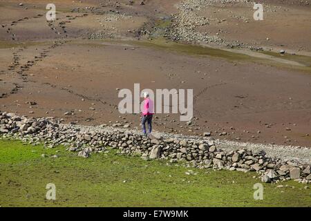 Parco Nazionale del Distretto dei Laghi, Cumbria, Regno Unito. 24Sep, 2014. La donna a piedi attraverso le rovine del villaggio di Mardale emerge da Hawswater, Parco Nazionale del Distretto dei Laghi, Cumbria, Regno Unito. Credito: Andrew Findlay/Alamy Live News Foto Stock