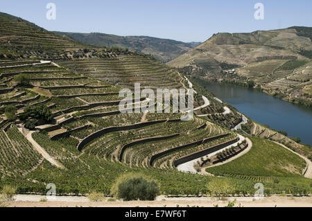 Quinta do Seixo, Ferreirinha, Douro, Portogallo Foto Stock