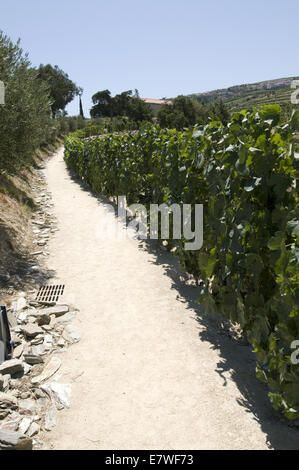 Quinta do Seixo, Ferreirinha, Douro, Portogallo Foto Stock