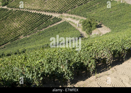 Quinta do cotto nella regione del Douro, Portogallo Foto Stock