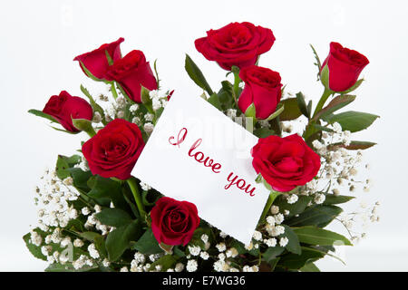 Rose rosse con carta regalo per il testo, isolato su sfondo bianco. Foto Stock