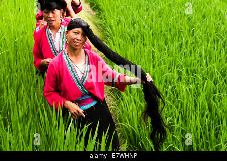 Il Longsheng terrazze di riso, chiamato anche Longji terrazze di riso, Foto Stock