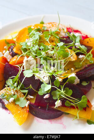 Insalata di barbabietole colorata placcata su piatto bianco e sfondo. Barbabietole gialle, barbabietole arancioni, barbabietole rosse. Foto Stock