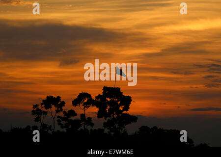 Momento d'Oro dopo il tramonto vicino a Dacca in Bangladesh Foto Stock