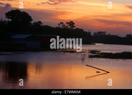 Momento d'Oro dopo il tramonto vicino a Dacca in Bangladesh Foto Stock