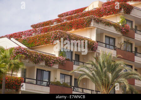 Fiori per balconi su hotel Tenerife Foto Stock