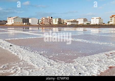 Bacino del sale in soluzione fisiologica salina in disuso, Sal Rei, Boa Vista, Capo Verde Foto Stock