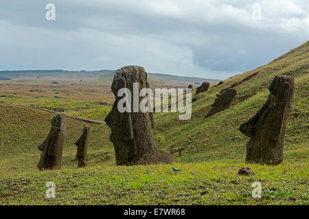 Gruppo di Moai statue, Rano Raraku, Isola di Pasqua, Cile Foto Stock