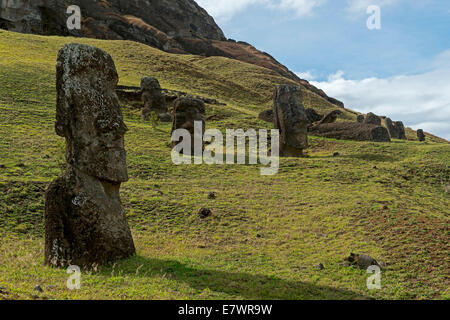 Gruppo di Moai statue, Rano Raraku, Isola di Pasqua, Cile Foto Stock