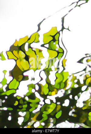 Il verde delle foglie della superficie dell'acqua. Abstract acqua superficie riflettente foglie verdi, verticale la pittura digitale per lo sfondo. Foto Stock