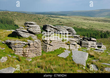 Bellever Tor, vicino Postbridge, Dartmoor granito sperone di roccia Foto Stock
