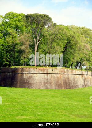 Mura medievali che circondano Lucca, Italia Foto Stock