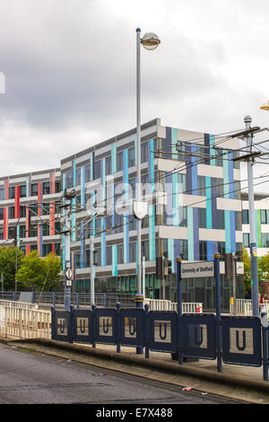 L'Università di Sheffield alla fermata del tram e l'edificio Jessops a Jessop West, Superiore Hanover Street a Sheffield, Regno Unito Foto Stock