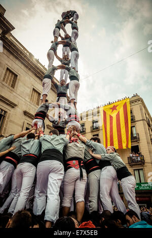 Barcellona, Spagna. 24Sep, 2014. I "castellers de Sants' costruire una torre umana durante il festival della città "La Merce 2014' di fronte al municipio di Barcellona Credito: matthi/Alamy Live News Foto Stock