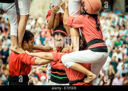 Barcellona, Spagna. 24Sep, 2014. I "castellers de Barcelona' costruire una torre umana durante il festival della città "La Merce 2014' di fronte al municipio di Barcellona Credito: matthi/Alamy Live News Foto Stock