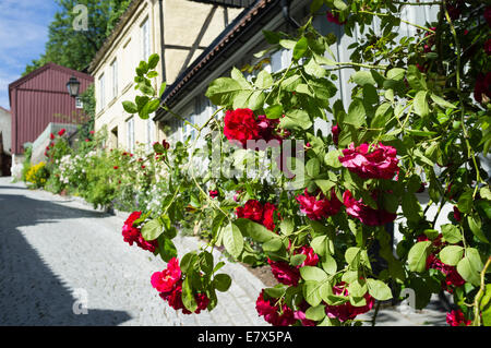 Damstredet street, Oslo, Norvegia Foto Stock