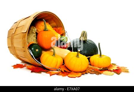 Autunno ortaggi fuoriuscita da un secchio di raccolta su sfondo bianco Foto Stock