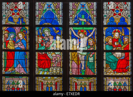 BRUGES, Belgio - 12 giugno 2014: Il Nuovo Testamento scene su vetro di finestra in San Salvator's Cathedral (Salvatorskerk) Foto Stock