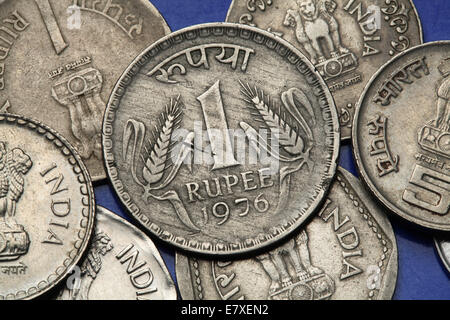 Monete di India. Due steli di grano raffigurato in Indiana rupia una moneta. Foto Stock