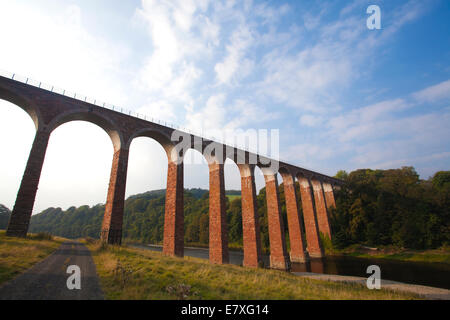 Leaderfoot viadotto viadotto ferroviario sul fiume Tweed vicino alla città di Melrose in Scottish Borders, Scotland, Regno Unito Foto Stock