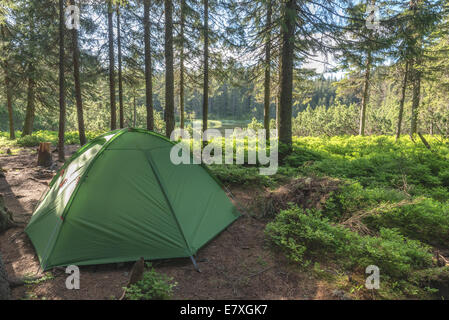 Tenda verde sulla foresta closeup Foto Stock